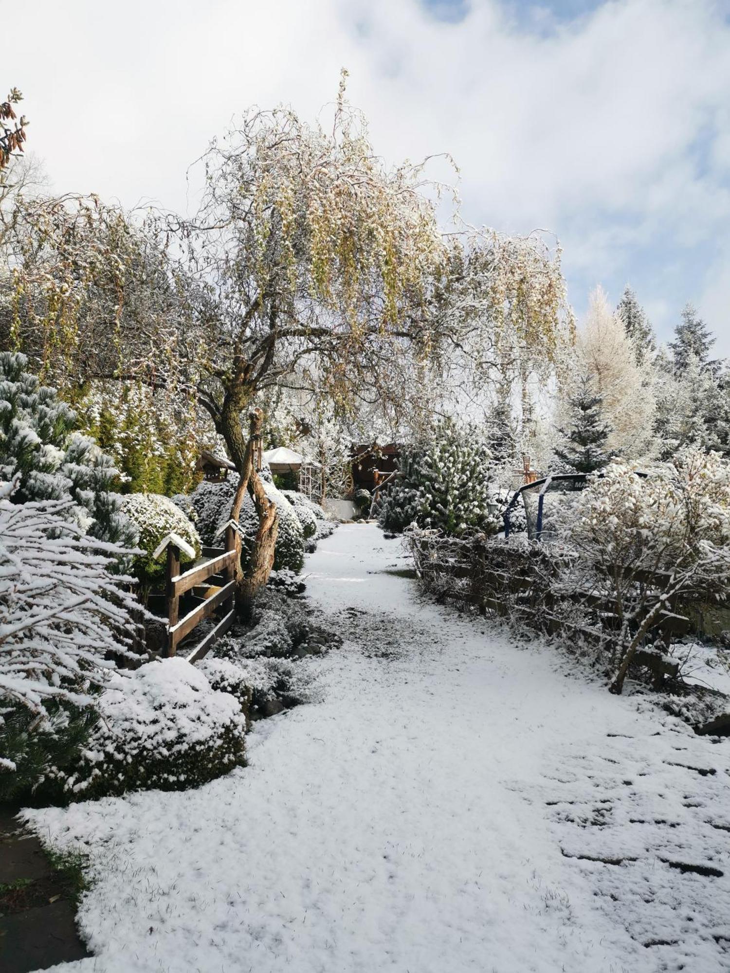Guesthouse Eden Liptovský Mikuláš Exteriör bild